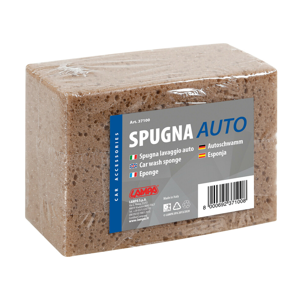 Esponja